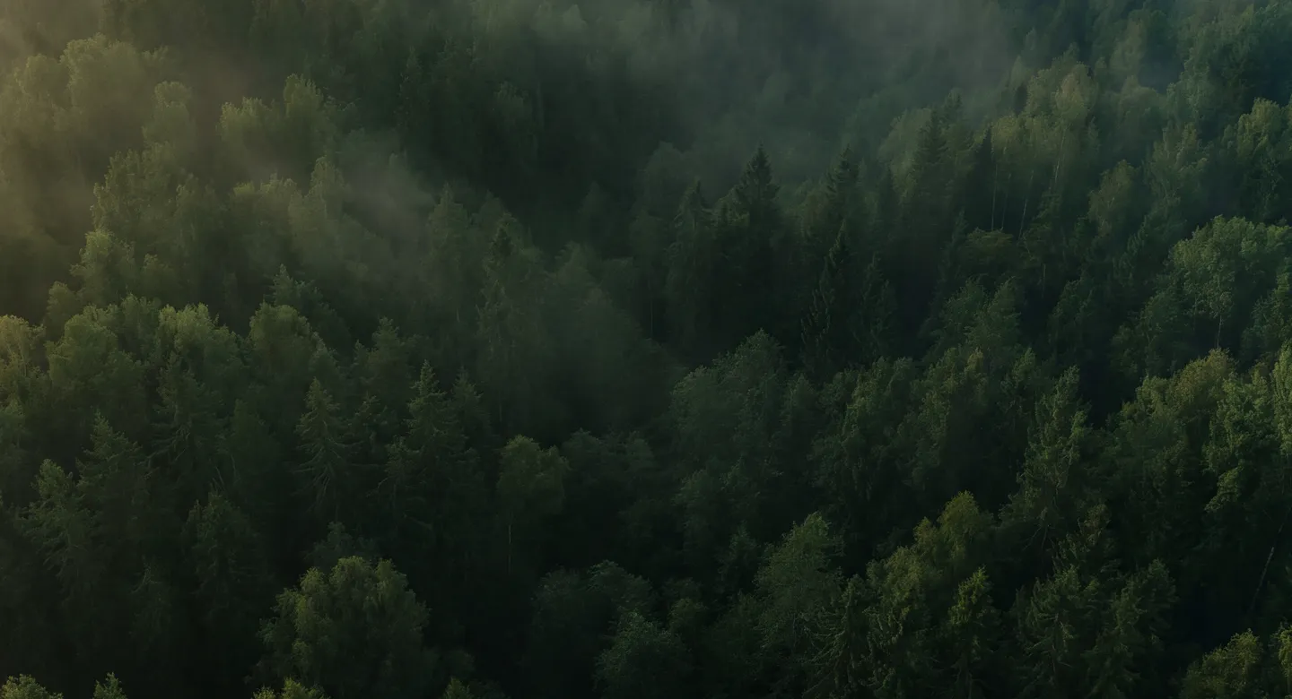 Расположение