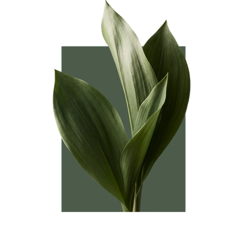 Расположение